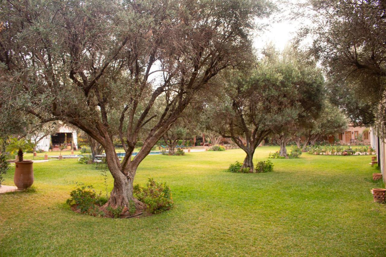 Greenlife Marrakech Pensión Marrakesh
