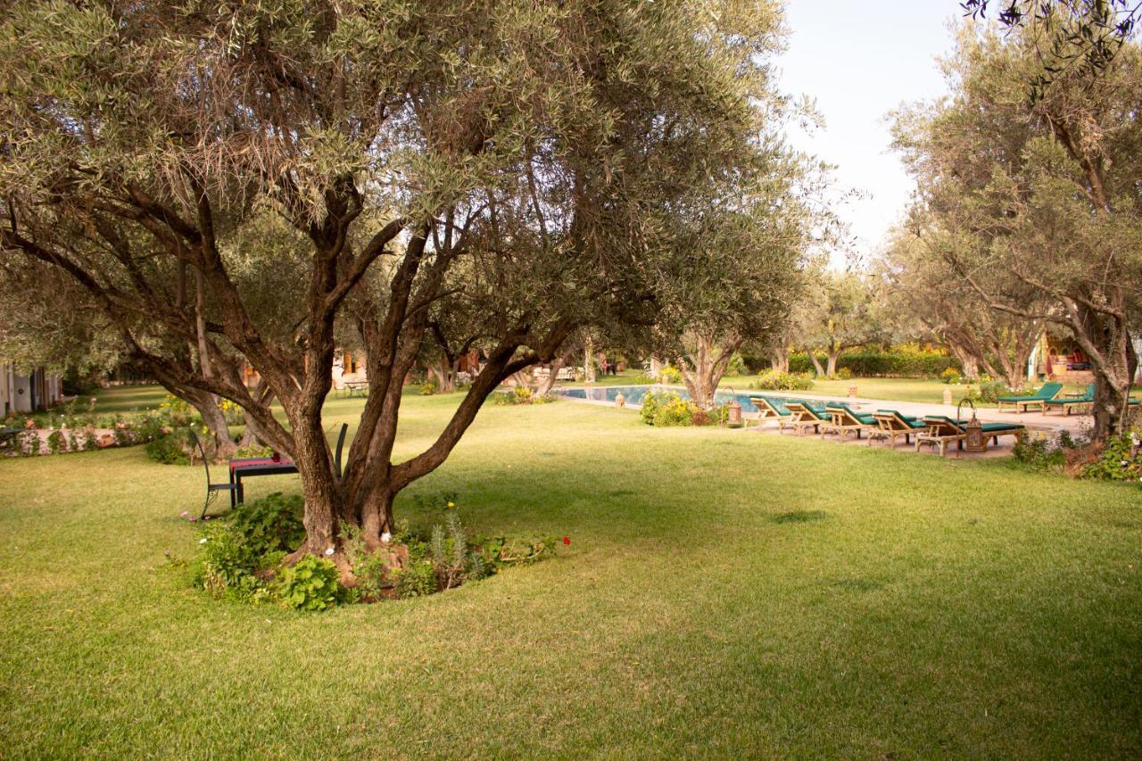 Pensión Greenlife Marrakech Marrakesh
